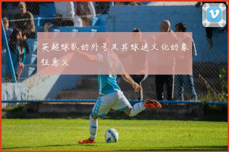 英超球队的外号及其球迷文化的象征意义