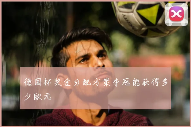 德国杯奖金分配方案夺冠能获得多少欧元