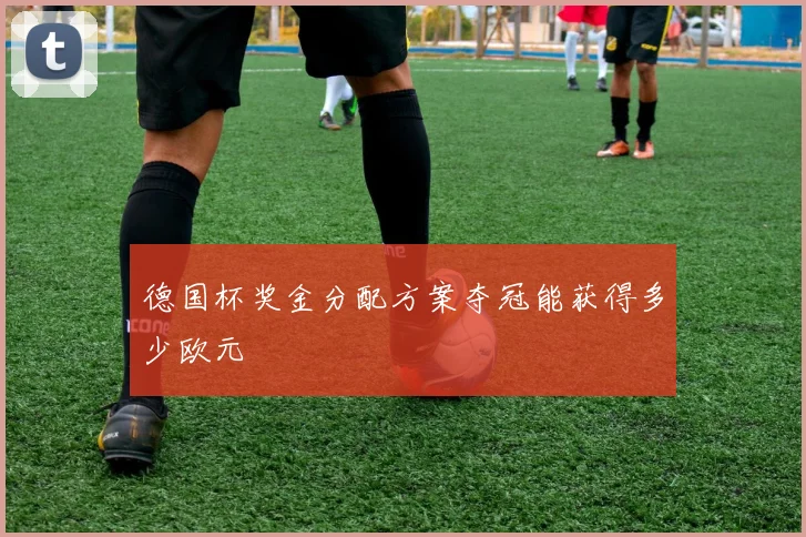 德国杯奖金分配方案夺冠能获得多少欧元