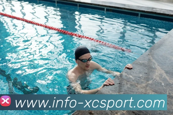 杏彩体育平台生态图